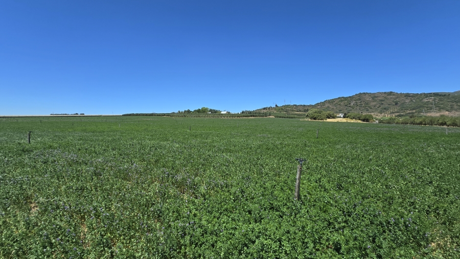 Commercial Property for Sale in Paarl Rural Western Cape